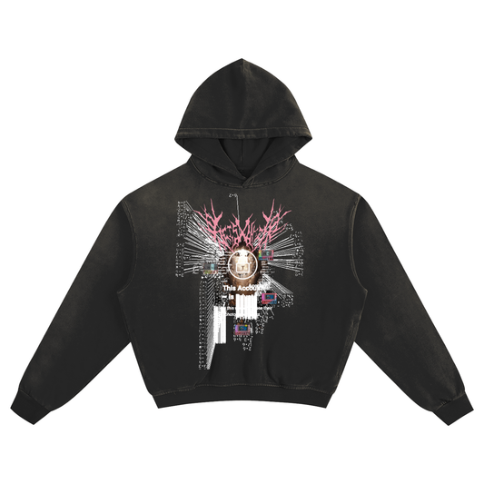 "PRIVATE" SUNFADED FRAYED OVERSIZED HOODIE